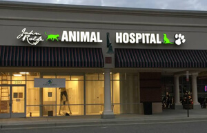 Veterinarian in Richmond, VA | John Rolfe Animal Hospital